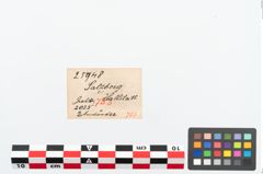 Etikett zu Bronzeknotenarmreif (NHMW-PRAE-025948)